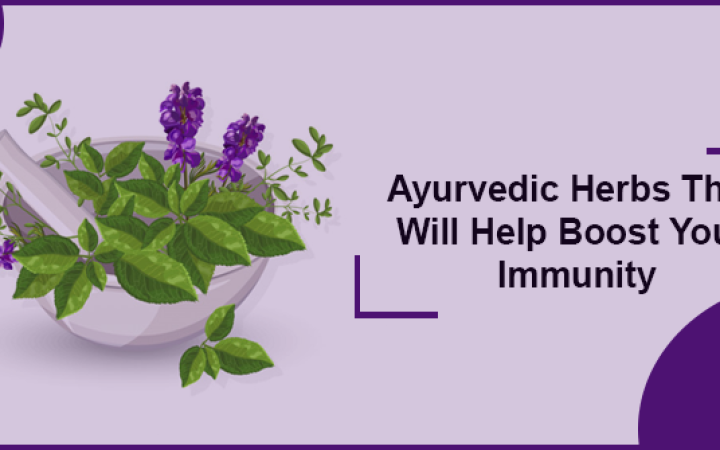 Ayurvedic-Herbs-That-Will-Help-Boost-Your-Immunity